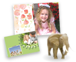 Canon : PIXMA Manuals : iP8700 series : Useful Functions Available on ...